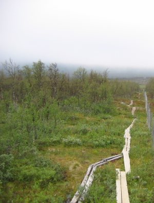 pitkospuut hieman sumuisessa maisemassa, ihmisiä ei näy