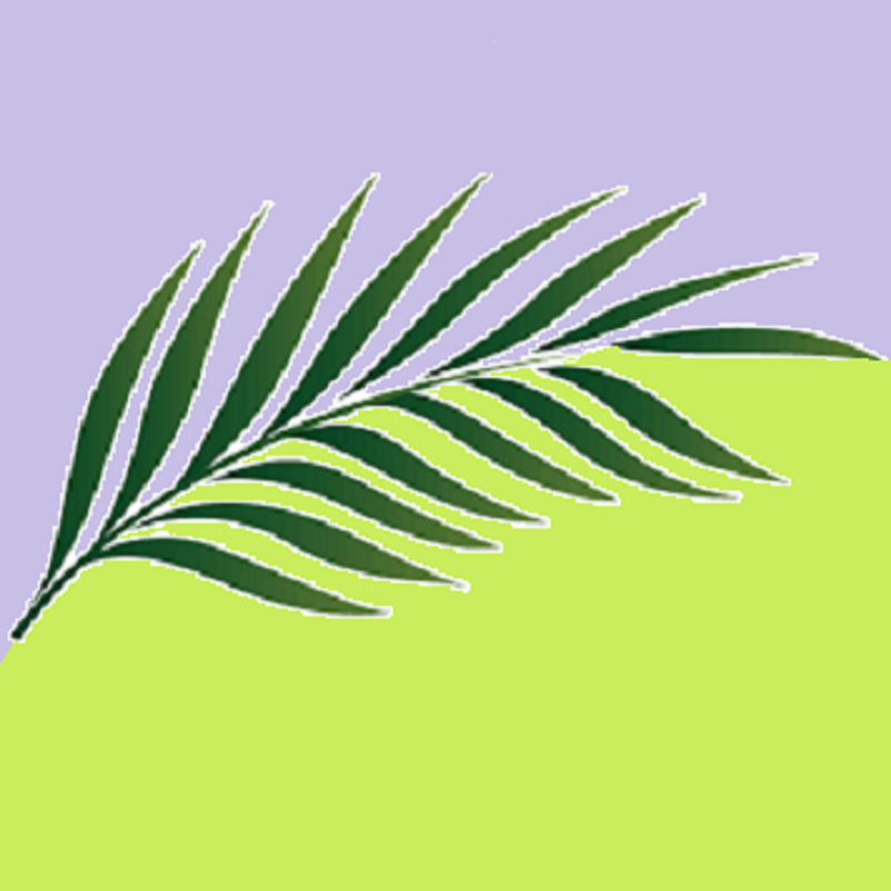 palmunlehvä